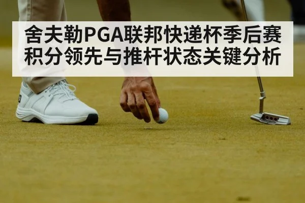舍夫勒PGA联邦快递杯季后赛积分领先与推杆状态关键分析